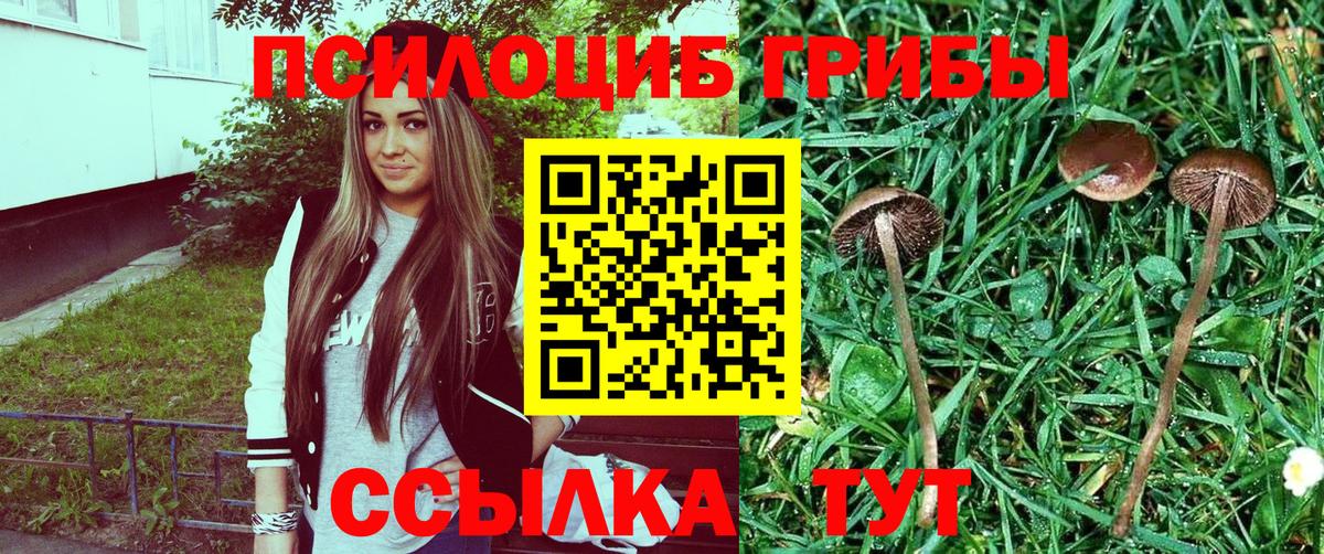 Галлюциногенные грибы Psilocybine cubensis  Галлюциногенные грибы ЛСД  Вход с VPN  Артём 
